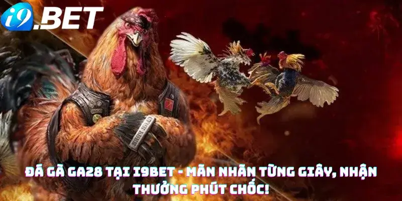 Đá Gà GA28 Tại i9bet - Mãn Nhãn Từng Giây, Nhận Thưởng Phút Chốc!