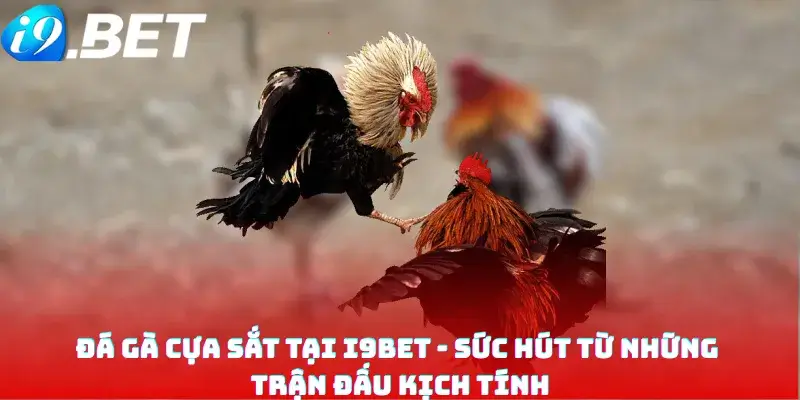 Đá gà cựa sắt tại i9bet - Sức Hút Từ Những Trận Đấu Kịch Tính