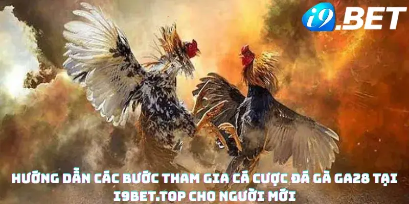 Hướng Dẫn Các Bước Tham Gia Cá Cược Đá Gà GA28 Tại i9bet.top Cho Người Mới